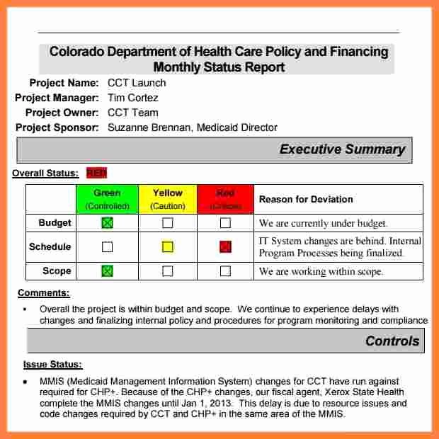 Free Project Status Report Template Lovely 6 Monthly Status Report Template Project Management