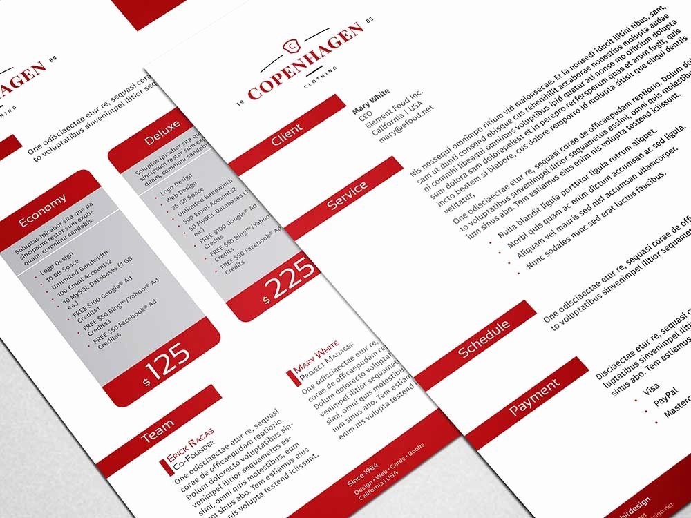 Free Proposal Template Indesign Lovely Indesign Proposal Template