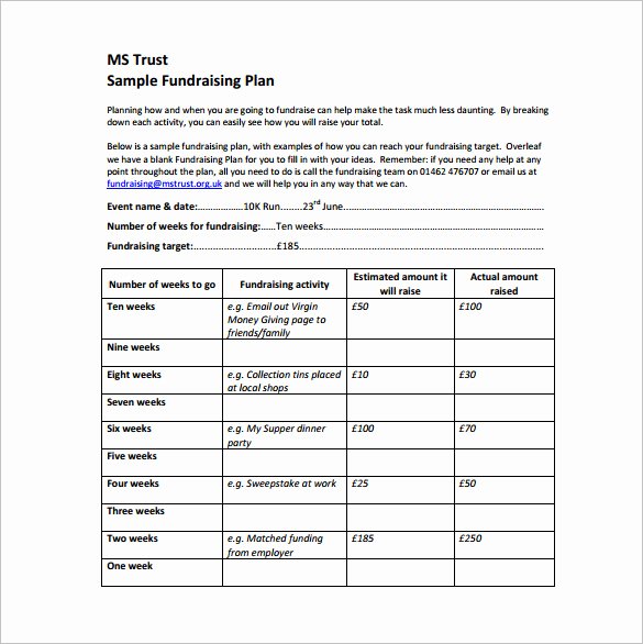 Fundraising Campaign Plan Template Best Of Fundraising Plan Template Excel