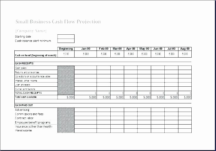 Global Cash Flow Template Fresh Cash Flow Analysis Excel Template Projection Global