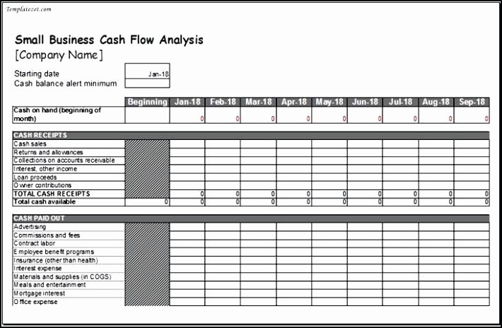 Global Cash Flow Template Inspirational Cash Flow Analysis Template Global Spreadsheet