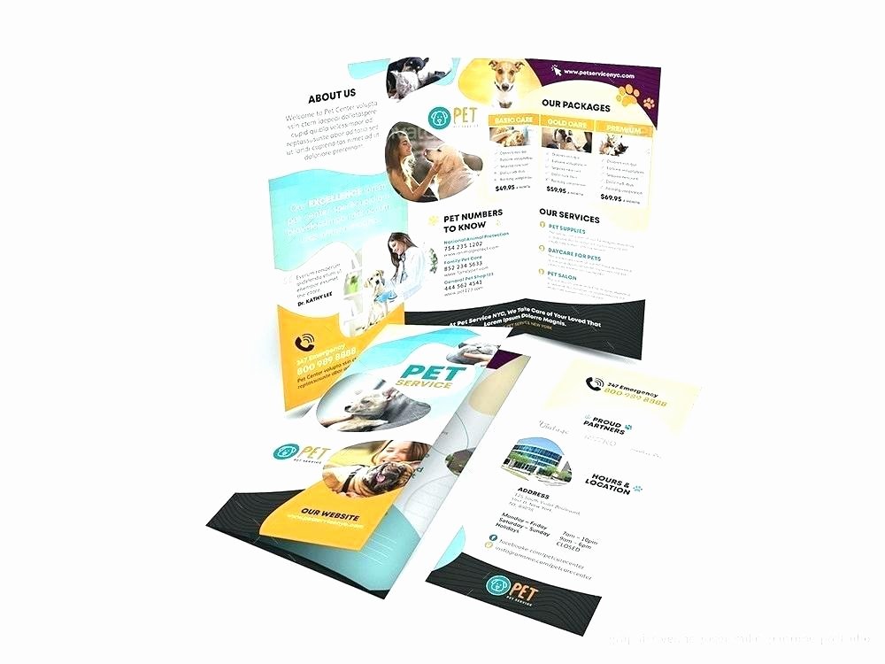 Google Brochure Template Free Fresh Free Brochure Templates Examples Corporate Fold Template