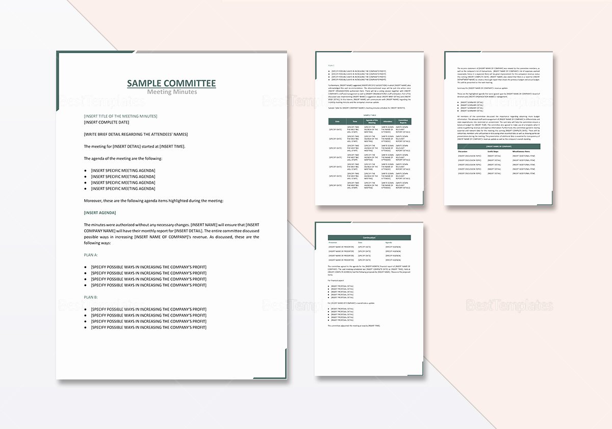 Google Docs Meeting Minutes Template Best Of Mittee Meeting Minutes Template In Word Google Docs