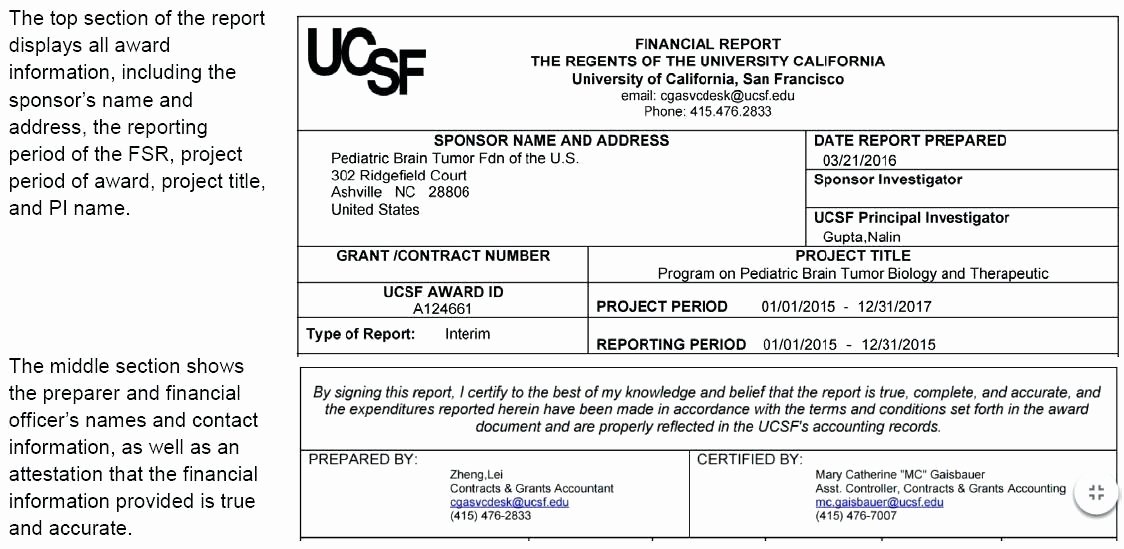 Grant Financial Report Template Best Of Financial Report Templates Free Sample Example format