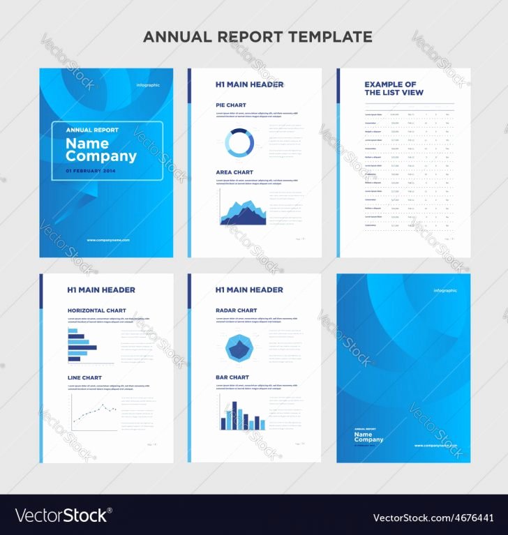 Grant Financial Report Template Elegant Report Annual Report Template