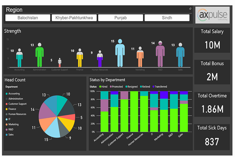 Human Resources Dashboard Template New Partner Showcase