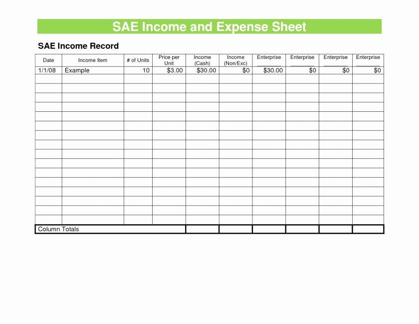 Income and Expense Worksheet Template Luxury In E Vs Expenses Spreadsheet