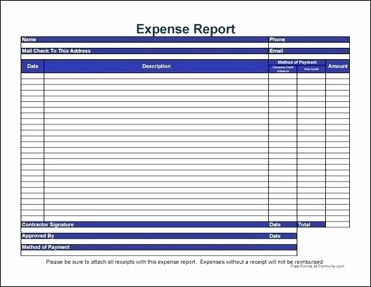 Income Expense Report Template Lovely In E Expense Report Template – Fffwebfo
