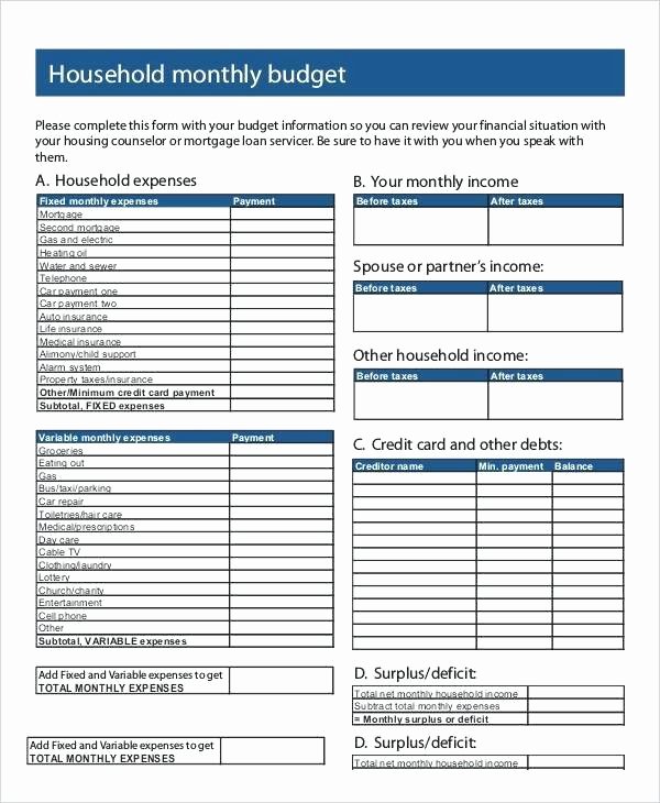 Income Expense Report Template Lovely Monthly Expense Tracker Daily Fice Excel Sheet Simple