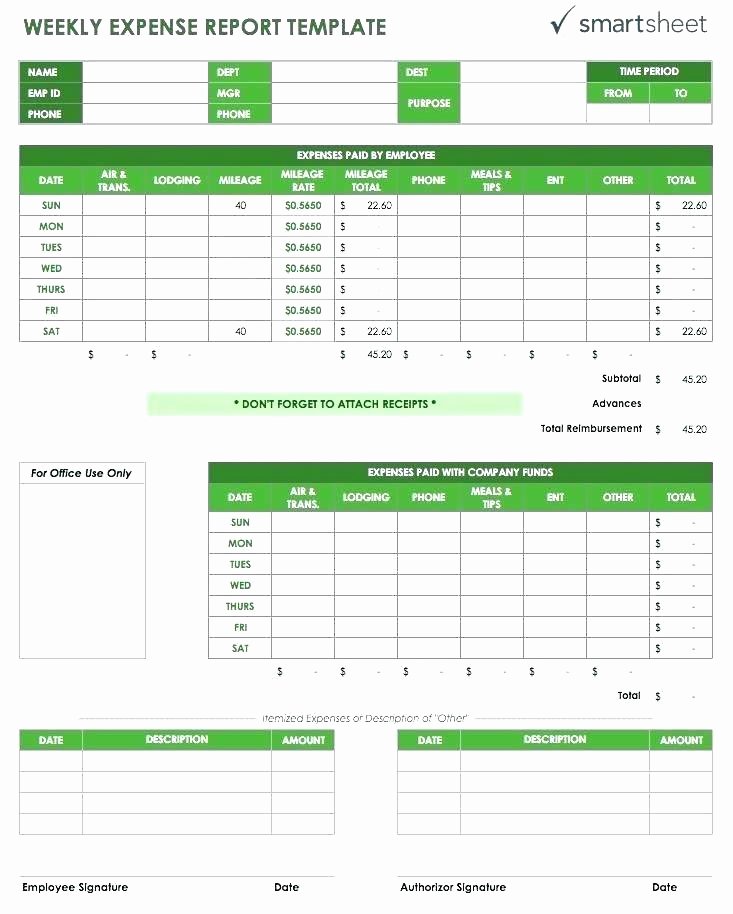 Income Expense Report Template Luxury In E and Expenditure Report Template – Tefutefufo