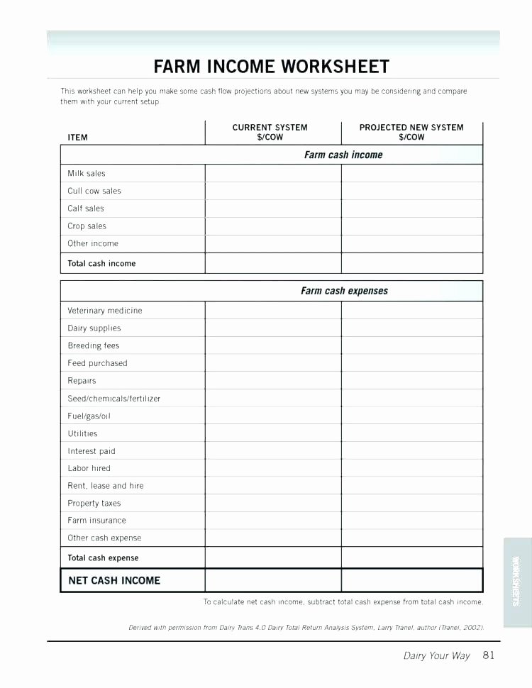 Income Expense Report Template Luxury In E and Expense form Template Travel Expenses Claim