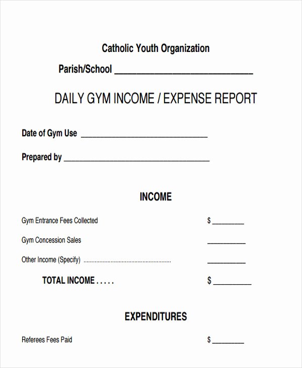 Income Expense Report Template New 22 Expense Report format Templates