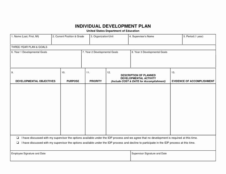 Individual Development Plan Template Awesome Individual Development Plan Template Beepmunk