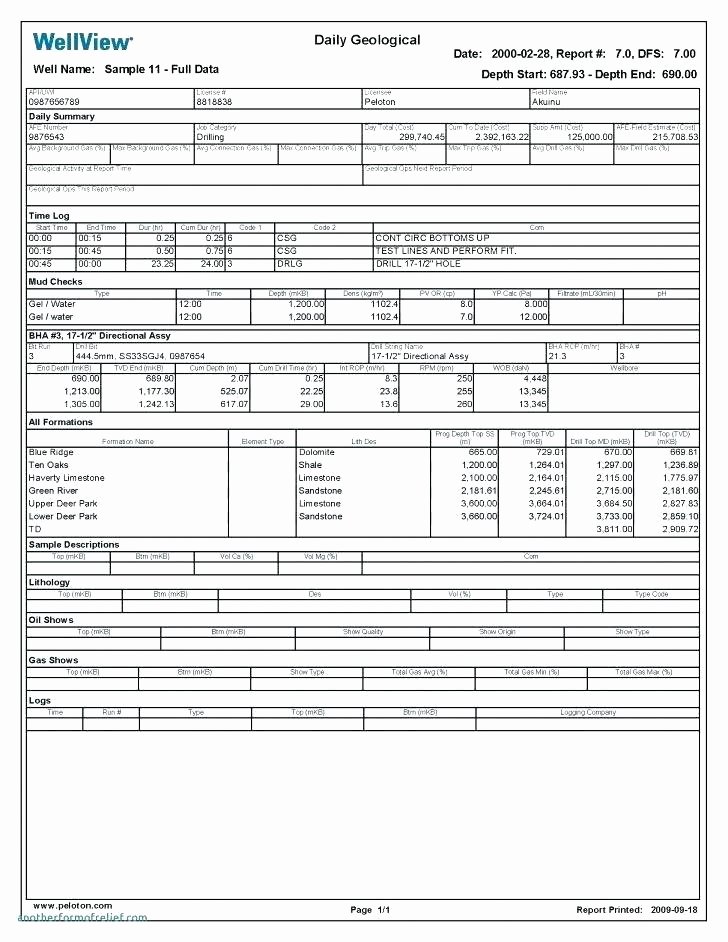 Information Security Incident Report Template Elegant Security Incident Report form Information Template Sample