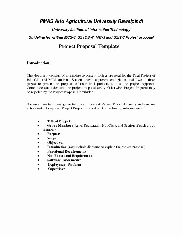 Information Technology Proposal Template Elegant Project Proposal Templates