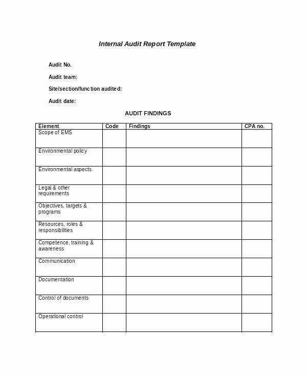Internal Audit forms Template Beautiful Audit form Template – Aoteamedia