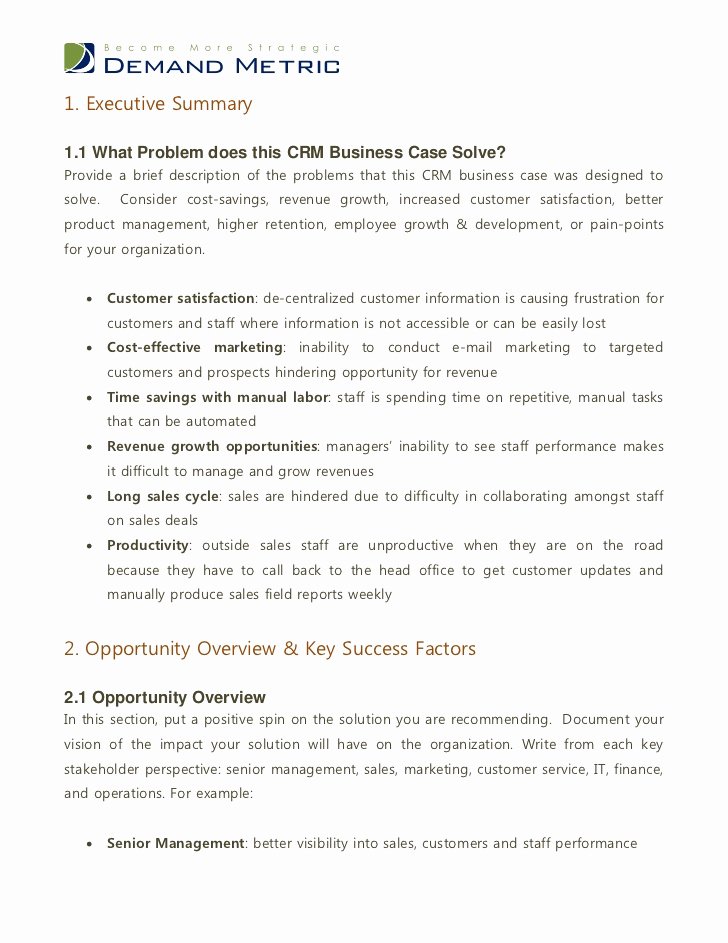 It Business Case Template Best Of Crm Business Case Template