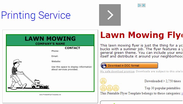 Lawn Care Flyer Template Awesome 5 Lawn Mowing Flyer Templates