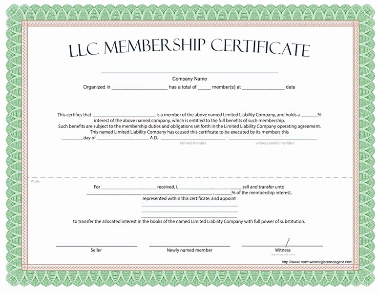 Llc Member Certificate Template Inspirational Llc Membership Certificate Template Llc Membership