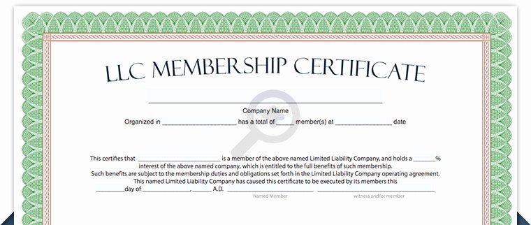 Llc Membership Certificate Template New Llc Membership Certificate Free Limited Liability