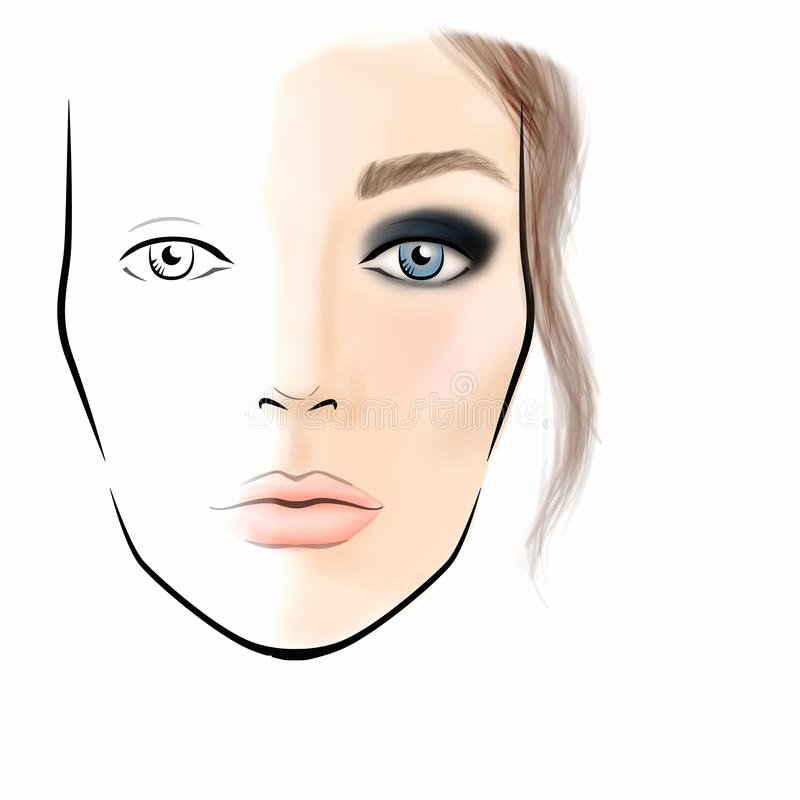 Makeup Artist Website Template Unique Face Chart Makeup Artist Blank Stock Illustration