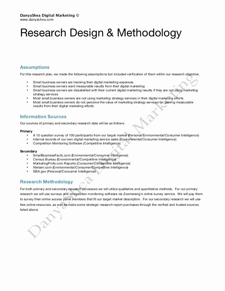 Market Research Proposal Template Beautiful Market Research Implementation Plan Sample