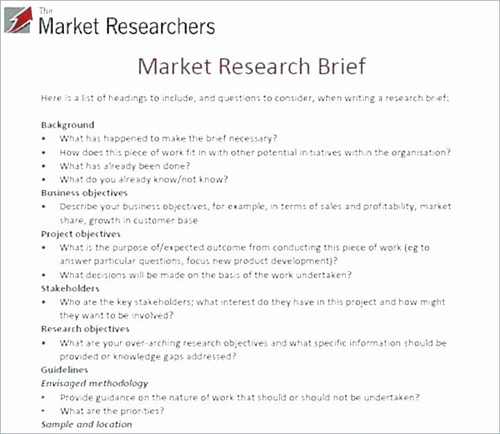 Market Research Proposal Template Elegant Market Research Proposal Example Template Project Brief