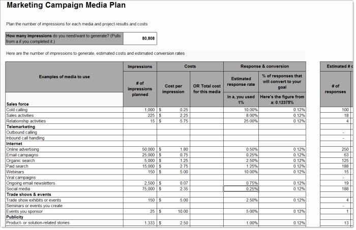 Marketing Campaign Template Excel Awesome Spreadsheets for Marketing Calculations