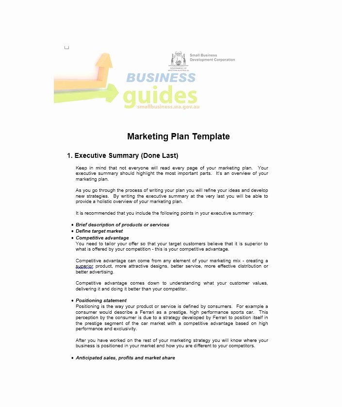 Marketing Plan Outline Template Inspirational 30 Professional Marketing Plan Templates Template Lab