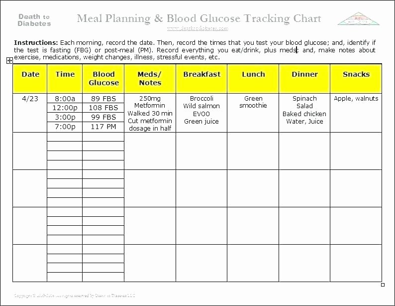 Medication Schedule Template Excel Best Of Daily Schedule Template Excel Medication Medicine Chart Free