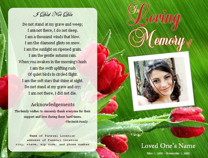 Memorial Pamphlet Template Free New Roses Single Fold Memorial Program Funeral Pamphlets