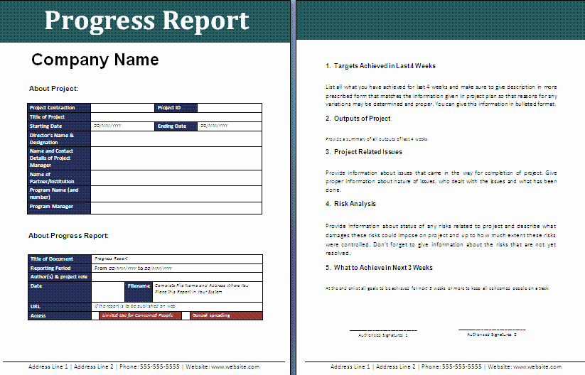 Microsoft Access Report Template Awesome Progress Report Template