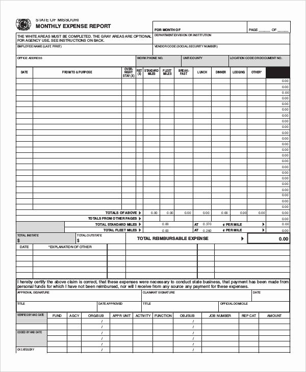 Monthly Expense Report Template Lovely 28 Expense Report Templates