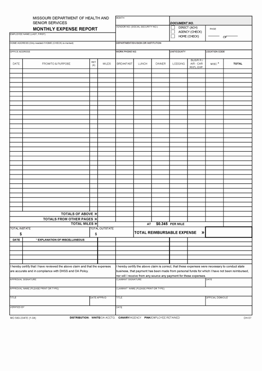 Monthly Expense Report Template Luxury 40 Expense Report Templates to Help You Save Money