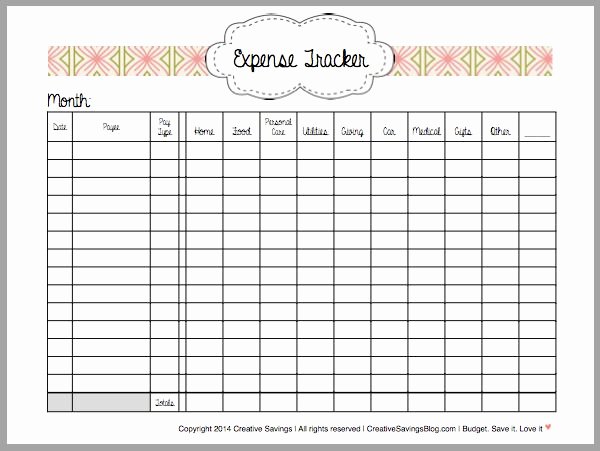 Monthly Expense Tracker Template Luxury How to Track Your Expenses organization