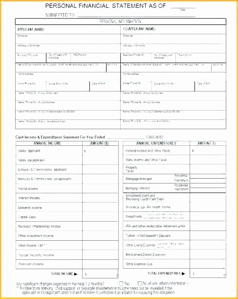 Monthly Income and Expenses Template Best Of In E and Expenses Spreadsheet Template Excel Business