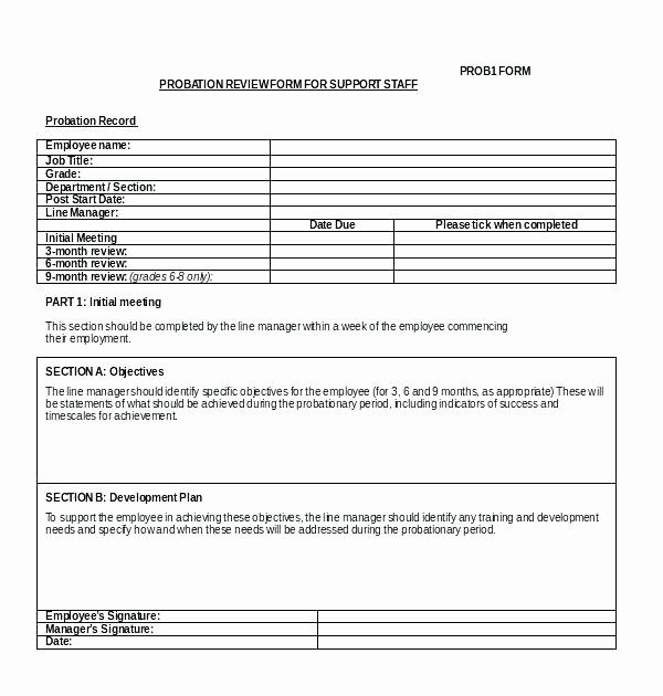 Monthly Performance Review Template Lovely Employee Evaluation form 6 Month Review Template