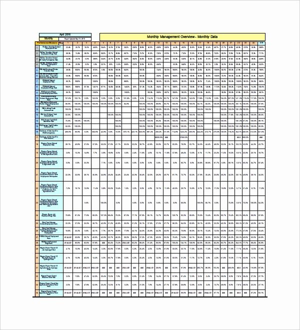 Monthly Report Template for Manager Lovely 49 Report Templates Free Sample Example format
