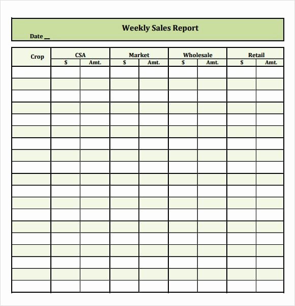 Monthly Sales Report Template Excel Elegant Monthly Sales Report format In Excel Free 6 Free Sales