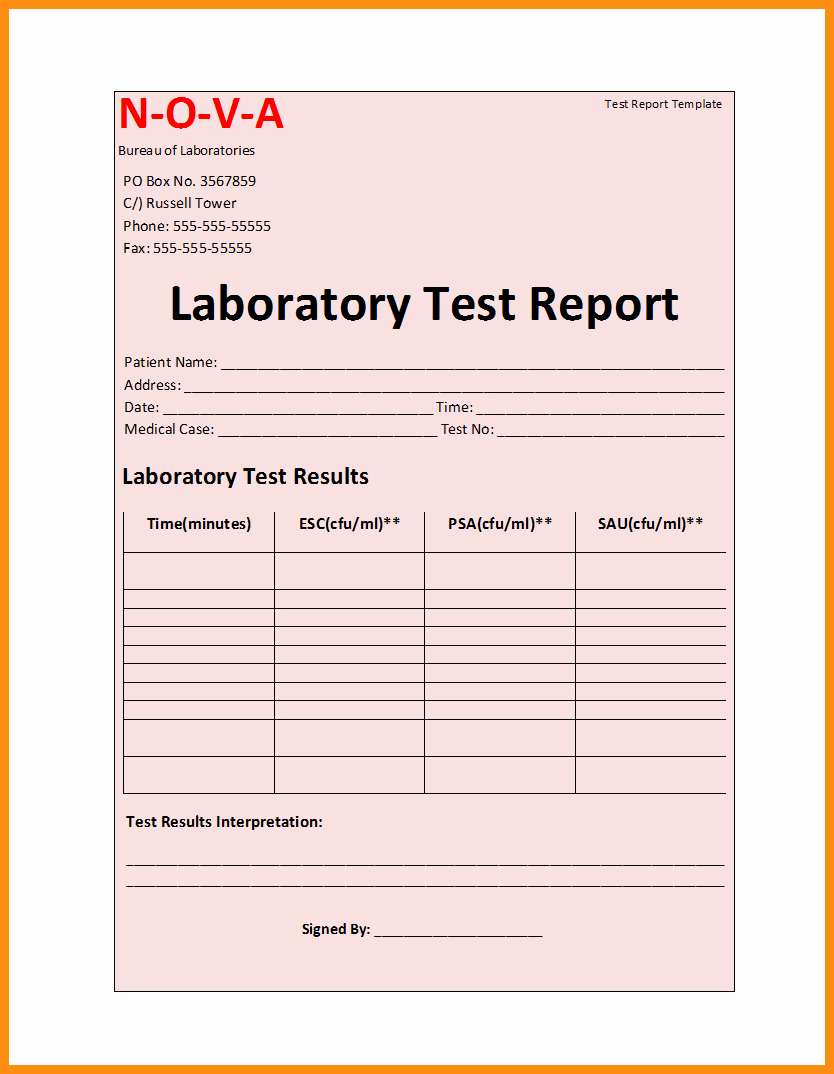 Ms Word Test Template Beautiful 13 Report Templates Microsoft Word