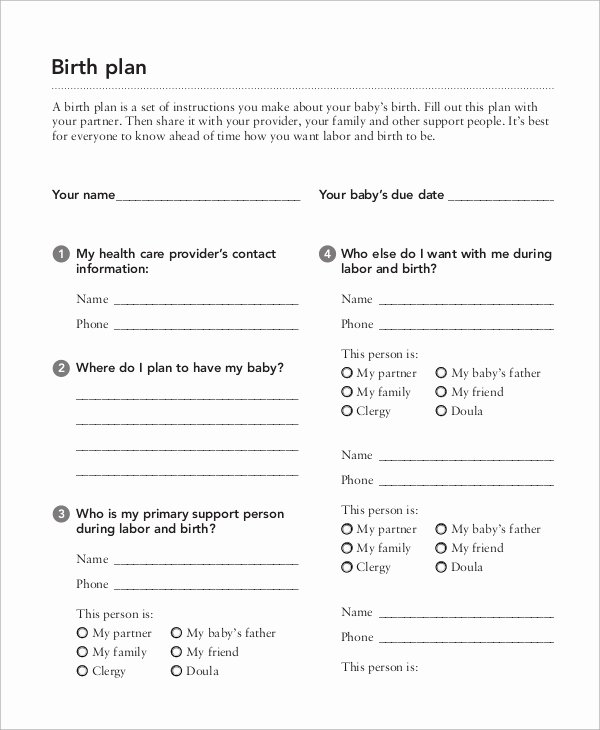Natural Birth Plan Template Best Of 10 Birth Plan Examples
