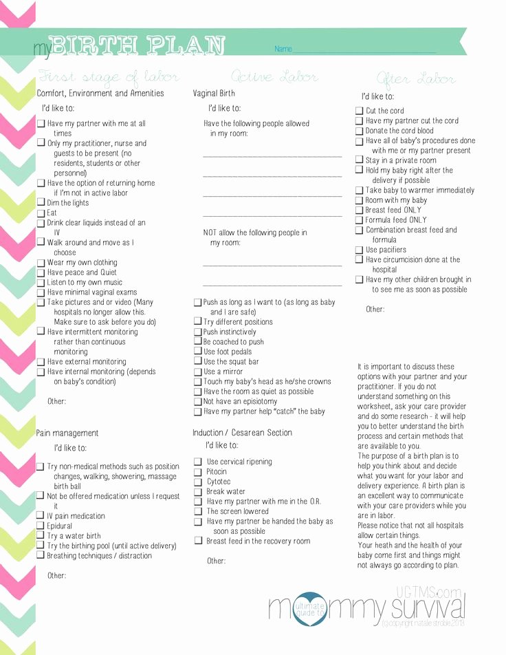 Natural Birth Plan Template Inspirational Free Birth Plan Printables Mommy Survival