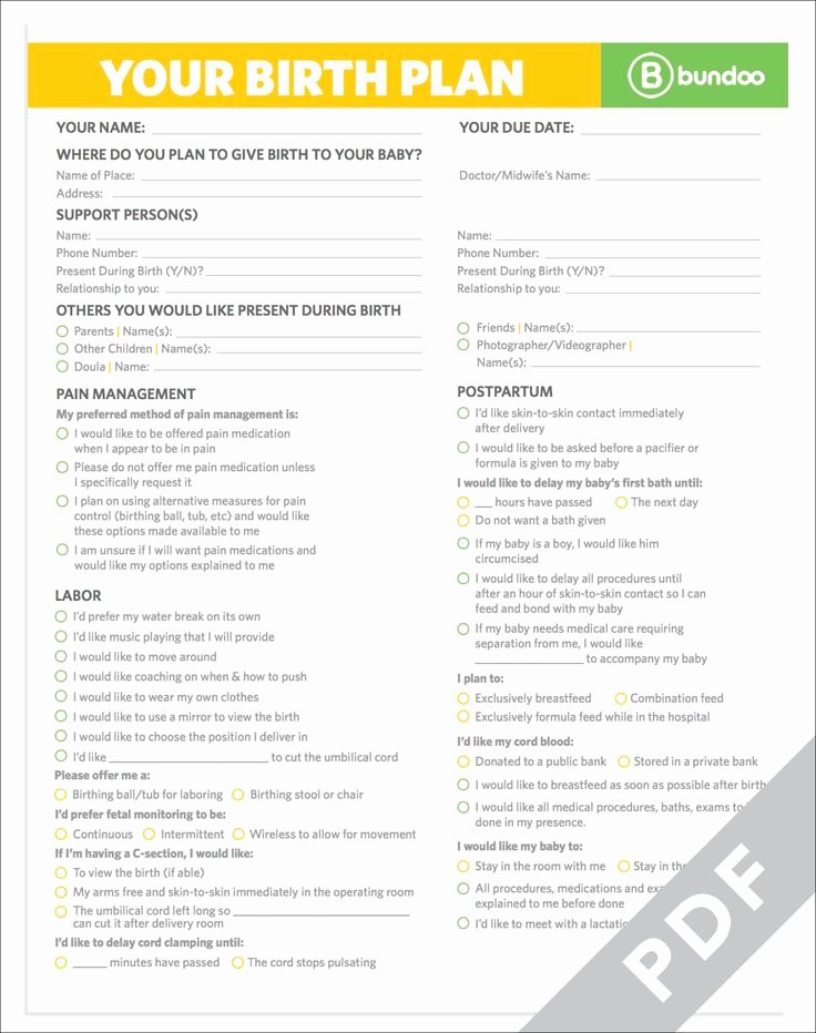 Natural Birth Plan Template Inspirational Here S A Printable Birth Plan that Your Doctor Will Be
