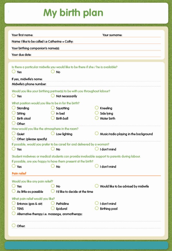 Natural Birth Plan Template Luxury 22 Sample Birth Plan Templates – Pdf Word Apple Pages