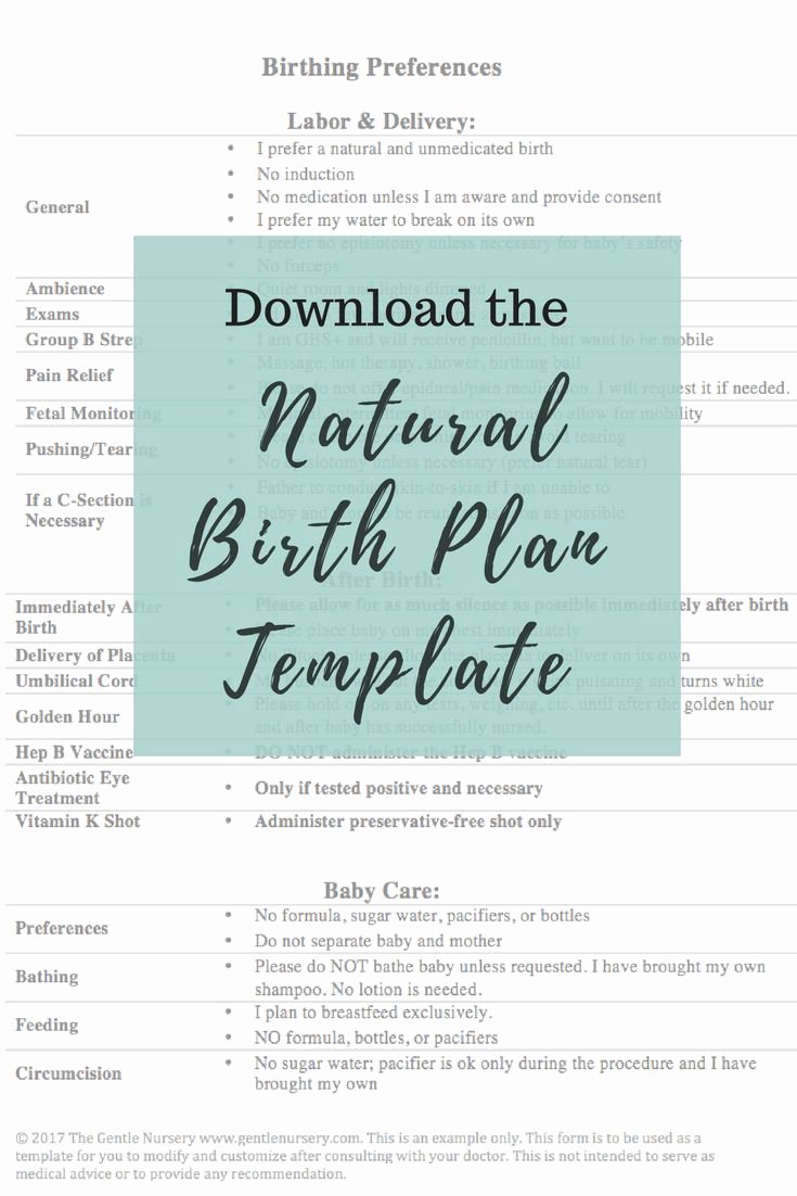 Natural Birth Plan Template Luxury Best 25 Birthing Plan Ideas On Pinterest