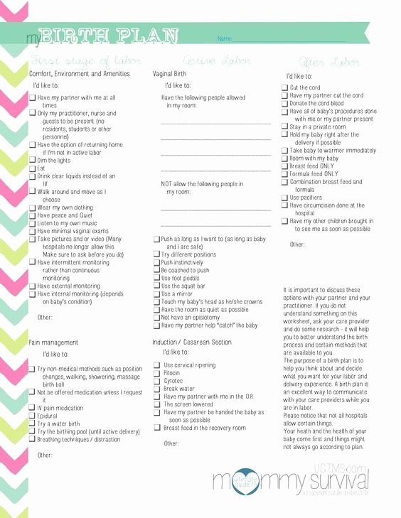 Natural Birth Plan Template Luxury Free Birth Plan Printables Mommy Survival …