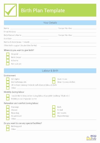 Natural Birth Plan Template New Best 25 Birth Plan Printable Ideas that You Will Like On
