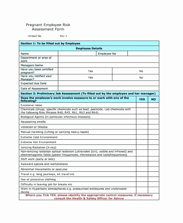 Network Infrastructure assessment Template Lovely Risk assessment Report Template Example Unique Document