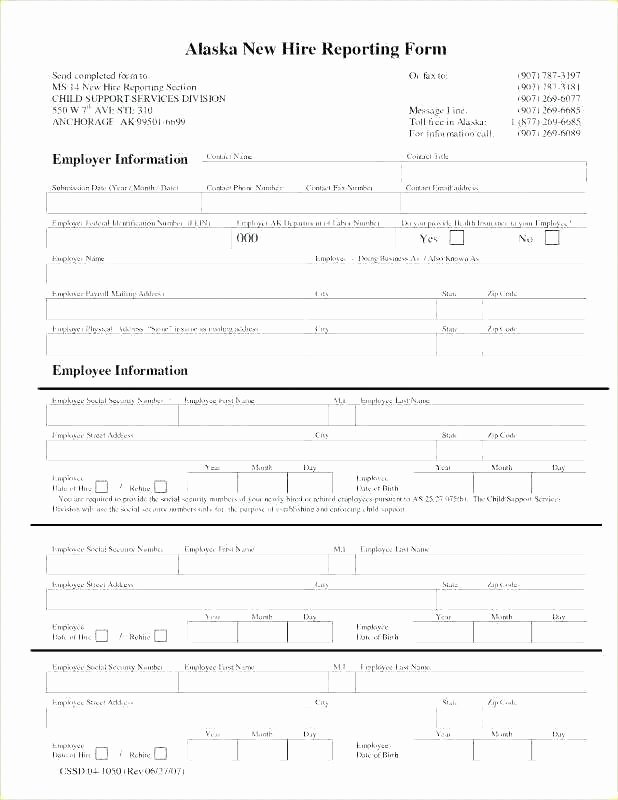 New Hire form Template Fresh New Employee Hire form Template