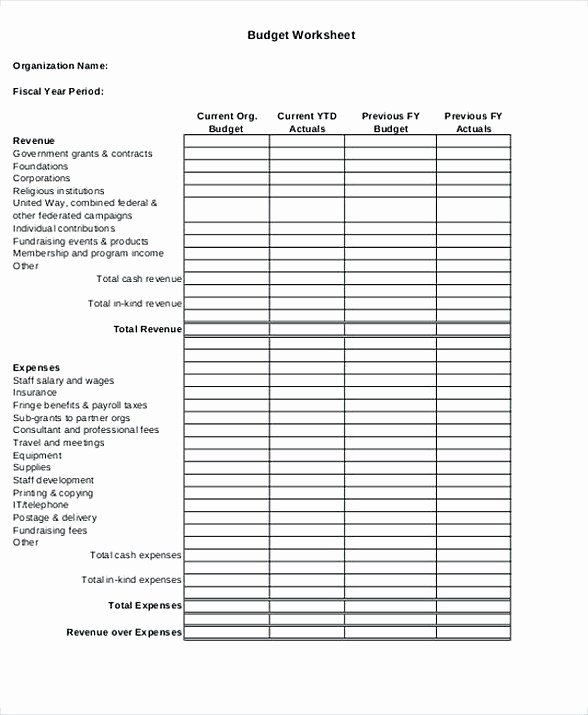 Non Profit Budget Template Awesome 8 Non Profit Bud Template